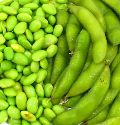 10 Edamame Soy Bean Seeds For Planting  Be Sweet  Asian Japanese Vege • $3