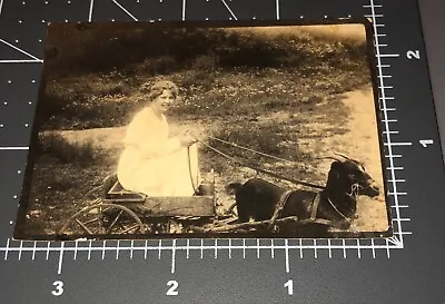 1900s Woman On Goat Cart Wagon Vintage Trimmed RPPC PHOTO • $14.95