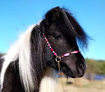 Miniature Horse Show Halter • $90