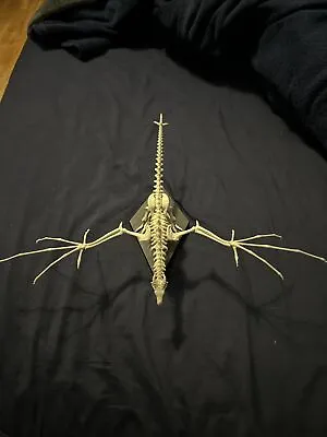 Skyrim Dragon Skeleton Model Kit (Pre-Built/DISCONTINUED/RARE) • $34.99