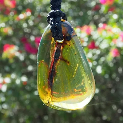 Mexican Amber Pendant Grade B 18.8 G • $85