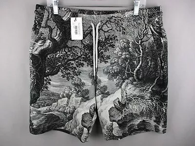 Dries Van Noten Shorts Mens Extra Large Habor Nature Print Art Sweat Drawstring • $309.89