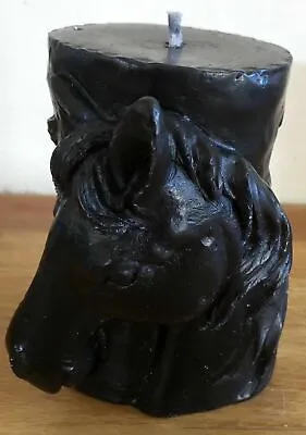 Latex Mould For Making This 3d Style Horse Candle • £18.99