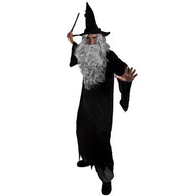 Wizard Costume Mens Halloween Fancy Dress Robe Hat Grey Wig Beard Wand Tv Film • £25.29