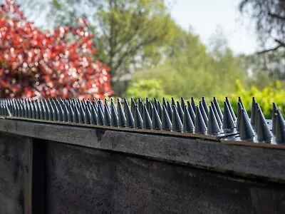 Fence Wall Spikes Garden Security Intruder Repellent Burglar Anti Cat Climb Bird • £16.99