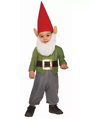Garden Gnome Dwarf Elf Fairytale Story Book Week Toddler Boys Costume • £25.31