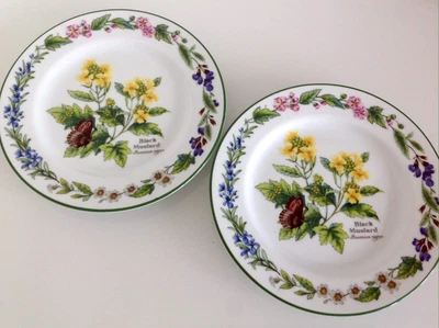£8 • Buy Royal Worcester Plates Set