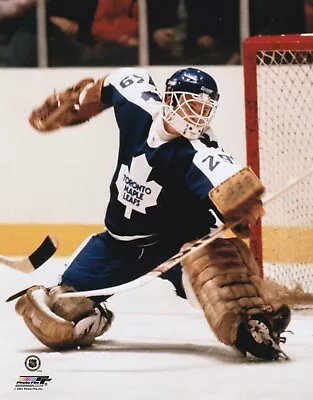 Mike Palmateer Toronto Maple Leafs UNSIGNED 8x10 Photo (C) • $5.79