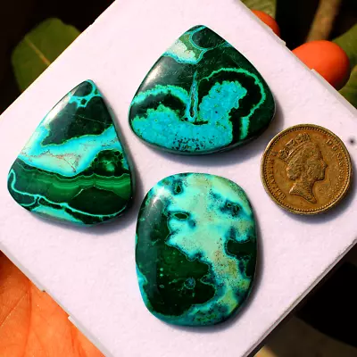 3 Pcs Natural Malachite Chrysocolla Top Quality 33mm-38mm Cabochon Gemstones Lot • $26.95