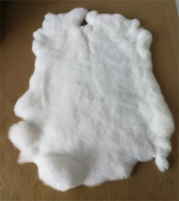 1PCS WHITE REX Rabbit Skin Real Fur Pelt For Animal Training Crafts Fly Tying • $15.19