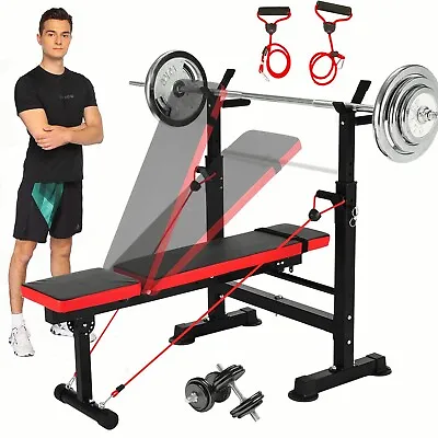 Adjustable Olympic Weight Bench Set With Leg Developer Preacher Home Gym 600lbs • $99.99