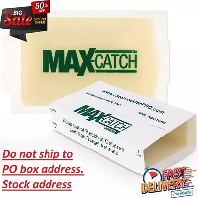 Mice Glue Traps Pest Sticky Boards 72 MAX Trap Catch Spiders Insects 36 Count • $8.97