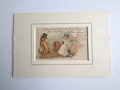Louis Wain Postcard 1905 Raphael Tuck Write Away Series I'm Real Sorry • £32.99