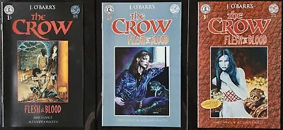 The Crow Flesh & Blood 1-3 Complete Kitchen Sink Comix J. O'Barr's Copy 1 • $39.99