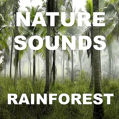 Rainforest Thunderstorm CD: Relaxing Jungle Sounds With Lightning Ambience • £2.89