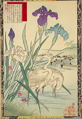 Herons Irises Vintage Kono Bairei Japanese Poster Botanical Print Art • £3.92