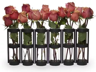 Danya B 6 Tube Metal And Glass Hinged Table Centerpiece Vase Set Q280 / Prompt • $44.99