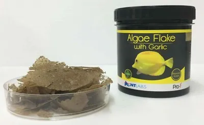 NT Labs Marine Algae Flake + Garlic 30g Reef Herbivore Seaweed Fish Food • £12.50