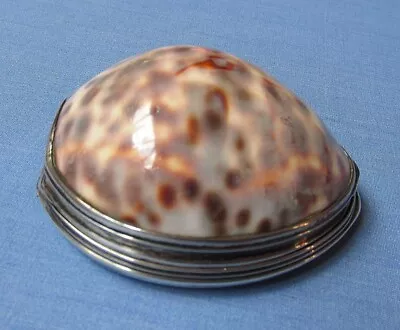 Georgian Cowrie Shell Snuff Box/Monogram/Unmarked Silver Mounts • $221.02