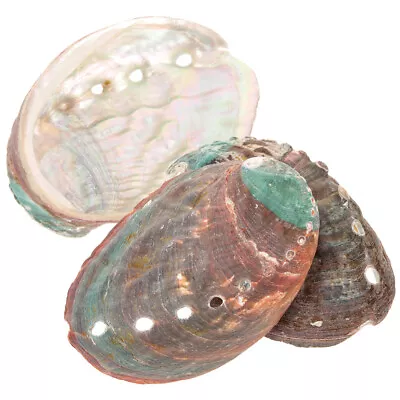 3Pcs Natural Abalone Shell Smudge Bowl Incense Burner Tray For Home Office • £8.25