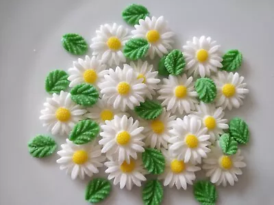 Daisy & Leaves  Edible Fondant Flowers Sugar Paste Easter Cake  Cupcake Toppers • £5.70