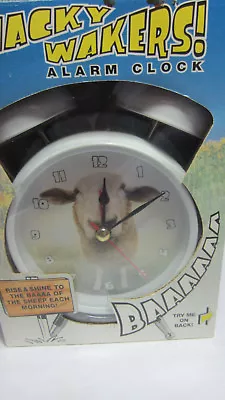 Mark Feldstein Wacky Wakers Sheep   Alarm Clock NEW • $39.95