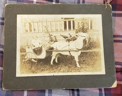 A Child In A Goat Cart Sleigh: Cabinet Card • $23.99