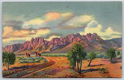 Postcard The Organ Mountains Las Cruces New Mexico Unposted • $7.50