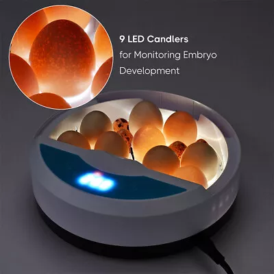 9 Egg Incubator Fully Automatic Digital Temperature Chicken Duck Eggs Poultry • $31.95