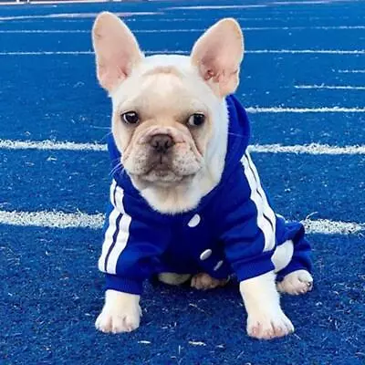 $6.99 • Buy 4 Leg Pet Dog Clothes Cat Puppy Coat Winter Hoodies Warm Sweater Jacket Clothing