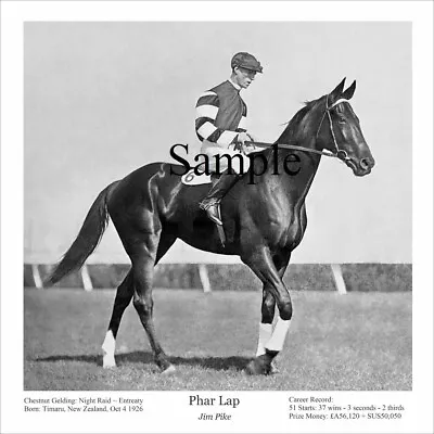 Phar Lap Classic Black & White Print Horseracing Victoria Derby • $45