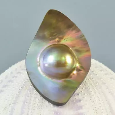 Mabe Blister Pearl In Shell Extreme Colorful Rainbow Iridescent 8.87 G Cabochon • $29