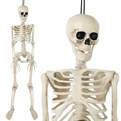 Juegoal Halloween 3 Ft Skeleton Full Body Skeleton 1/2 Life Size Human Bones • $73.05