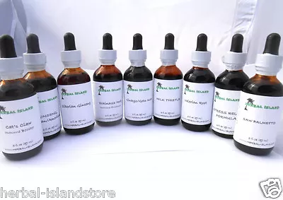 Echinacea Herb Tincture - Alcohol Free (2 Fl. Oz.) Immune Support For Cold & Flu • $10.45