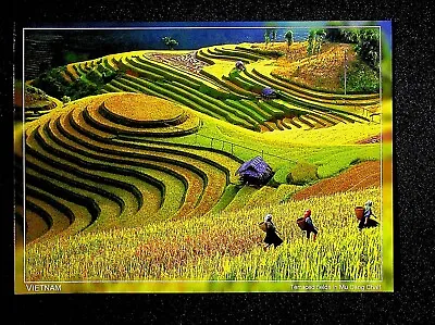 Vietnam Postcard - Water Flowers/ Plants/ Nature/ Wild/ Food • $1.20