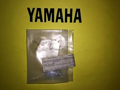 Yamaha YB-1 TY50 RD60 YZ80 DT100 Bolt Cap (Forks) Genuine 205-23111-40-00 • £8.99