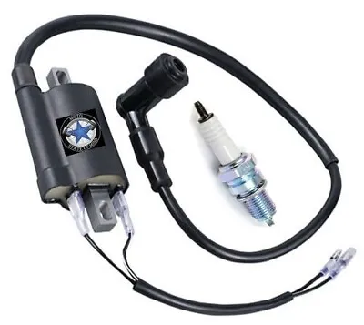 Ignition Coil Spark Plug For Suzuki TC90 TC100 TC120 TC125 TC185 TC250 TC305 • $17.99