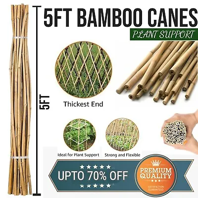 5FT Bamboo Garden Canes Strong Natural Thick Quality Stakes Plant Support Stick  • £9.99