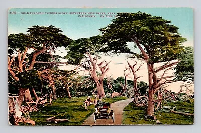 Postcard Road Through Cypress Grove Monterey California CA Antique K7 • $5.49