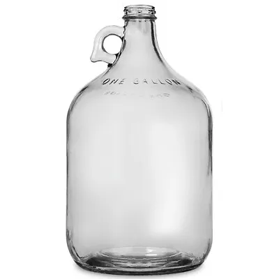 1 Gallon Glass Jug Carboy Fermenter For Home Beer Or Wine Making • $21.99