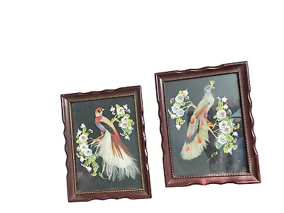 2 Vintage Mexican Folk Art Feather Craft Bird Pictures Framed • $27.99