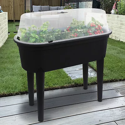 Mini Greenhouse Plants Box Seedbed Table Propogator Garden Indoor Outdoor Flower • £27.99