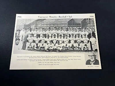 ORIGINAL - 1966 Vancouver Mounties - Team Issued Photo - PCL - 6x9in. - • $8.88