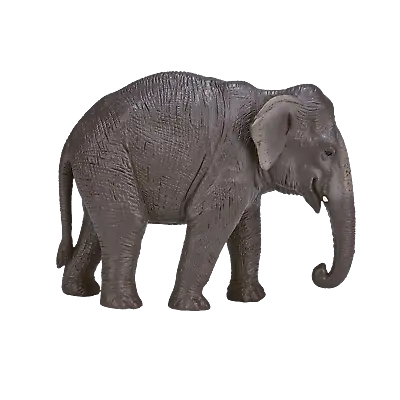 £9.75 • Buy Mojo ASIAN ELEPHANT Wild Zoo Animal Play Model Figure Toy Plastic Forest Jungle