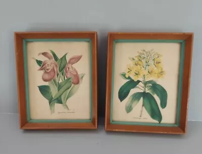 Vtg Floral Still Life Print Set 2 Rectangle Framed Yellow Purple 4x6 Cottage • $19.98