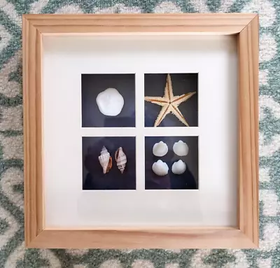 Shell Starfish Natural Framed Artwork Picture Wall Hanging Nautical Sea Beach • £10