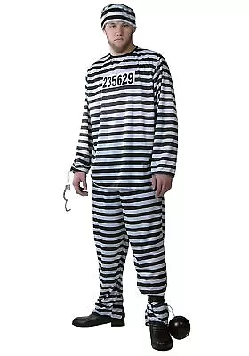 Plus Size Mens Prisoner Costume • $36.98