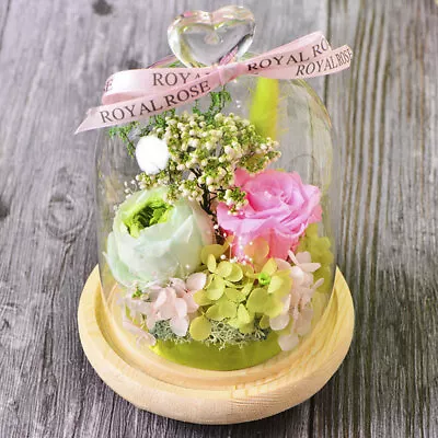£8.95 • Buy Clear Glass Cloche Bell Jar Flower Vase LED Lighting Dome Display & Wooden Base