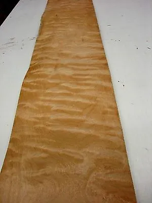 Golden Quilted Maple Veneer  220 Cm By 16 Cm   2 Sheets (1149)  • £24