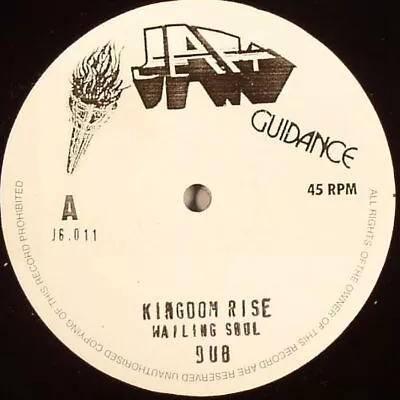 WAILING SOULS - Kingdom Rise - Vinyl (10 ) • £17.45